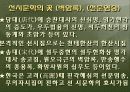 [불교문학론] 십우도와 선시 5페이지