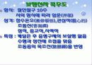 [불교문학론] 십우도와 선시 18페이지