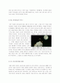 [영화감상문] (최신A+) 브루스 올마이티 (Bruce Almighty) [짐캐리의 브루스올마이티 분석적영화감상문][브루스올마이티 영화감상문][브루스올마이티 감상문][영화 브루스올마이티 감상문]  5페이지
