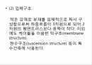 철골구조 6페이지