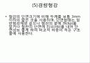 철골구조 14페이지