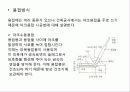 철골구조 29페이지