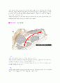 [외부공간디자인] 예술의 전당 광장 9페이지