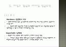 히딩크 감독의 리더십 20페이지