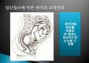 임신(증상, 태아 모체변화, 산모관리)에 대해  17페이지