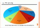 [제주항공] 제주항공 성공요인 분석 PPT 8페이지