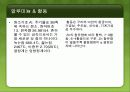 현미경 조직 특성평가 - 경도시험 13페이지