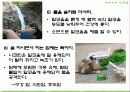 [현대인의 건강] 술과 건강에 대해서 11페이지