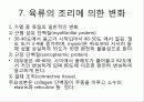 호텔외식조리의 이해 50페이지