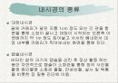 [의료] Ultra Sound - 초음파검사 17페이지