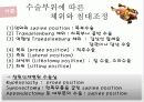 수술실 사례연구 20페이지