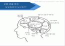 toyota,도요타,하이브리드,렉서스,마케팅,브랜드,브랜드마케팅,기업,서비스마케팅,글로벌,경영,시장,사례,swot,stp,4p 28페이지