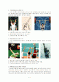 스포츠상해 용어의 정의 및 상해기전 3페이지