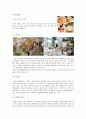 망고식스 마케팅전략/소비자환경/시장환경/자사분석/경쟁사분석/4p,SWOT,STP전략/ 15페이지