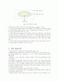지역사회복지실천의 이론적 틀 5페이지