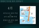 북한 미사일의 역사, 특징, 경과, 이란 핵 개발 의혹, 미국과 이스라엘의 입장, 이란 핵 문제 협상, 현황, 관리, 역할, 시사점, 나의견해, 총체적 조사분석 5페이지