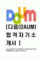 [ 다음-인터넷비즈니스부문합격자기소개서 ] 다음 자기소개서, 합격 자소서, 합격 이력서, 합격 예문 1페이지