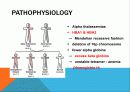지중해성 빈혈 Thalassemia 5페이지