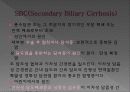 담도폐색증 12페이지