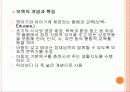 유아교육과 보육의 통합 3페이지
