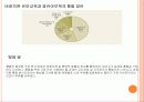 유아교육과 보육의 통합 13페이지