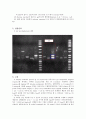 [생화학 실험보고서] PCR-mediated Mutagenesis 4페이지