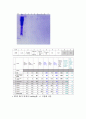 [생화학 실험보고서] E. coli system을 이용하여 Taq polymerase를 Overexpression시킨 후 정제 5페이지