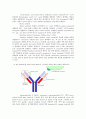 [생화학 실험보고서] SDS-PAGE & Bradford Assay 10페이지