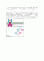 [생화학 실험보고서]간에서의 Glycogen 분리 4페이지