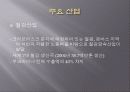 우크라이나의 경제 발표 9페이지
