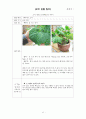 오이 관찰 일지 11페이지