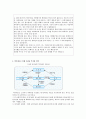제약시장 유통구조 26페이지