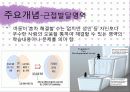 비고츠키 인지발달이론 6페이지