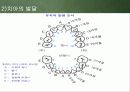 영아기 발달(신체, 인지, 언어, 사회 정서) 4페이지