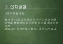 영아기 발달(신체, 인지, 언어, 사회 정서) 11페이지