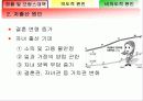 저출산 현황, 원인 및 대책 방안 3페이지