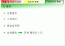 저출산 현황, 원인 및 대책 방안 17페이지
