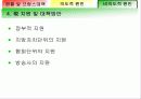 저출산 현황, 원인 및 대책 방안 20페이지