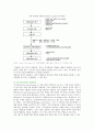 [핵심역량] 핵심역량이론의 특성과 방법 6페이지