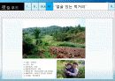 Local food 농산물 유통의 대안 (향토음식, 로컬푸드, 지역음식, 지역 먹을거리) 34페이지