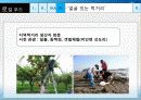 Local food 농산물 유통의 대안 (향토음식, 로컬푸드, 지역음식, 지역 먹을거리) 35페이지