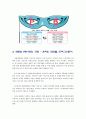 PB 상품 대형마트(홈플러스, 이마트, 롯데마트)를 시작으로 화장품PB 까지 12페이지
