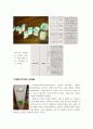 PB 상품 대형마트(홈플러스, 이마트, 롯데마트)를 시작으로 화장품PB 까지 15페이지