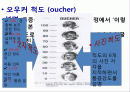 유치원 연간 운영 교육계획 모의작성 15페이지