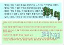 유치원 연간 운영 교육계획 모의작성 22페이지