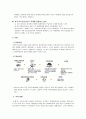 영화시장, 영화산업의 유통 구조 13페이지