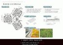 그린 마스터플랜 사례와 적용 (Green Master Plan Research & Application) 26페이지
