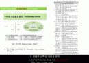 그린 마스터플랜 사례와 적용 (Green Master Plan Research & Application) 40페이지