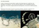 그린 마스터플랜 사례와 적용 (Green Master Plan Research & Application) 84페이지