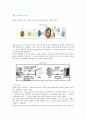 [RFID] RFID의 특징과 적용사례 5페이지